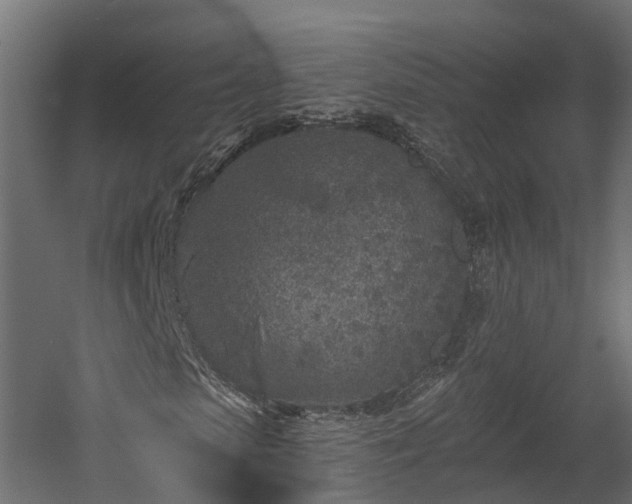 X0000058810913200510031342