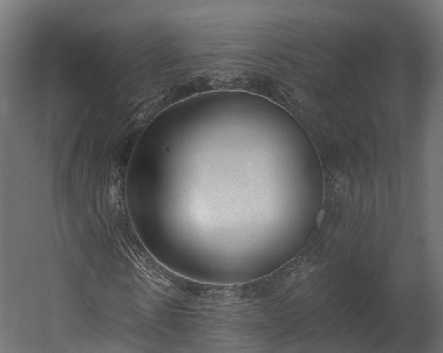 X0000058810914200510031342