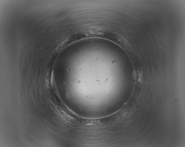 X0000058810915200510031342