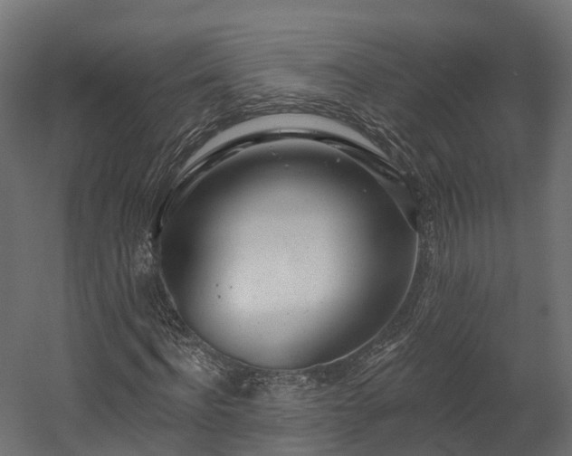 X0000058810916200510031342