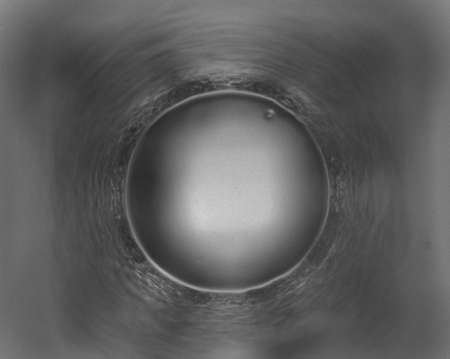 X0000058810917200510031342