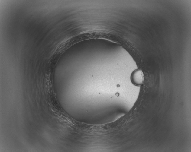 X0000058810918200510031342