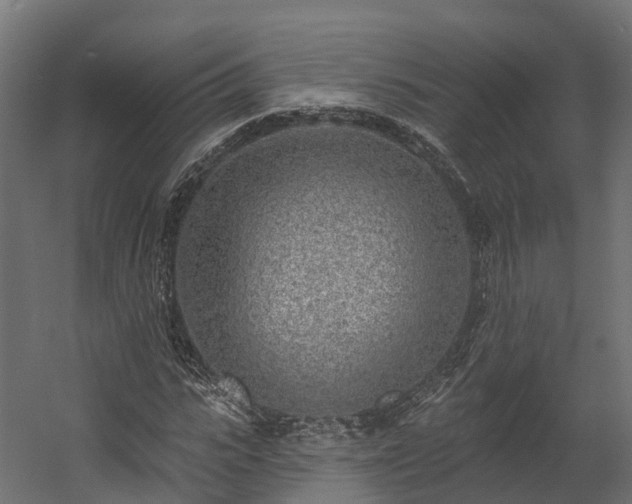 X0000058810919200510031343