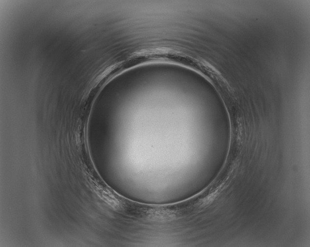 X0000058810921200510031343