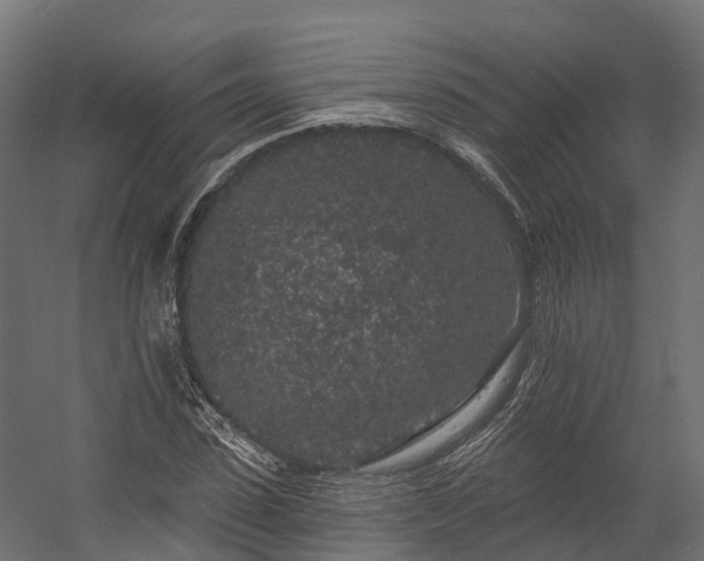 X0000058810923200510031343