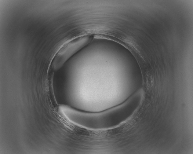 X0000058810924200510031343