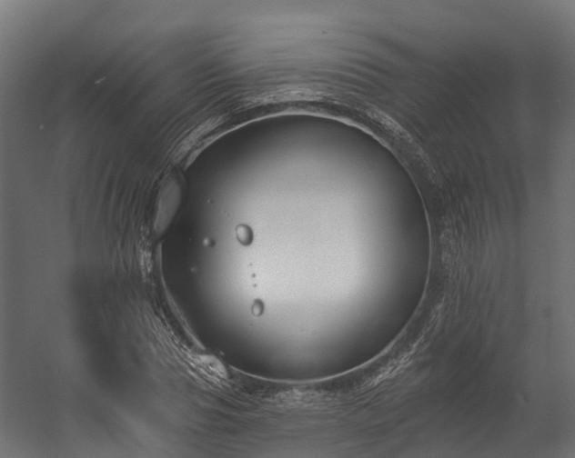 X0000058810929200510031343