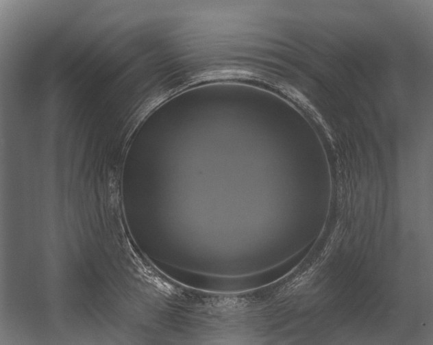 X0000058810945200510031343