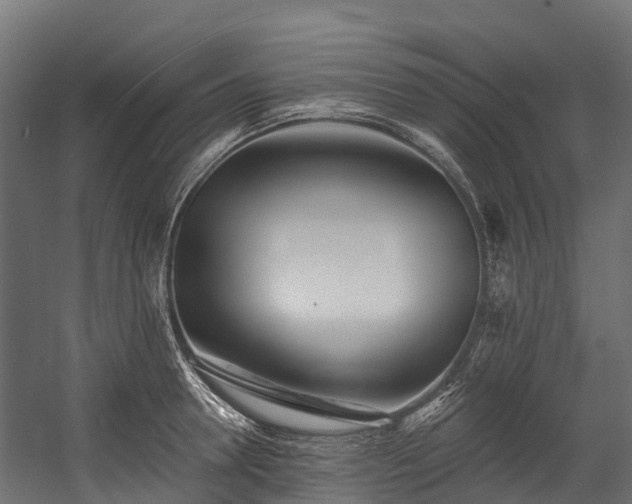 X0000058810946200510031343