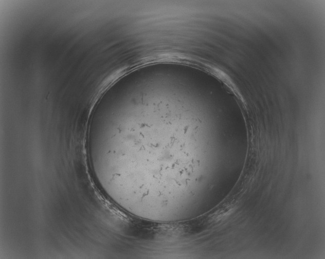 X0000058810954200510031343