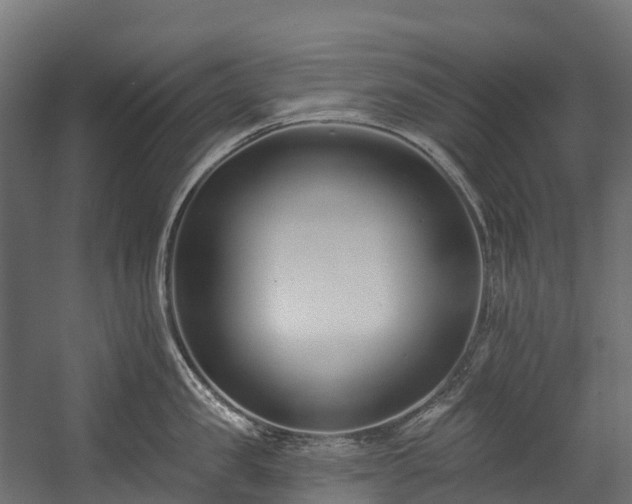 X0000058810957200510031343