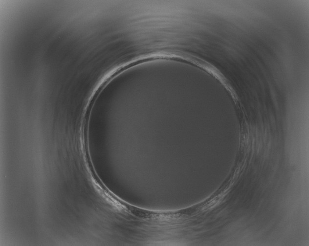 X0000058810958200510031343