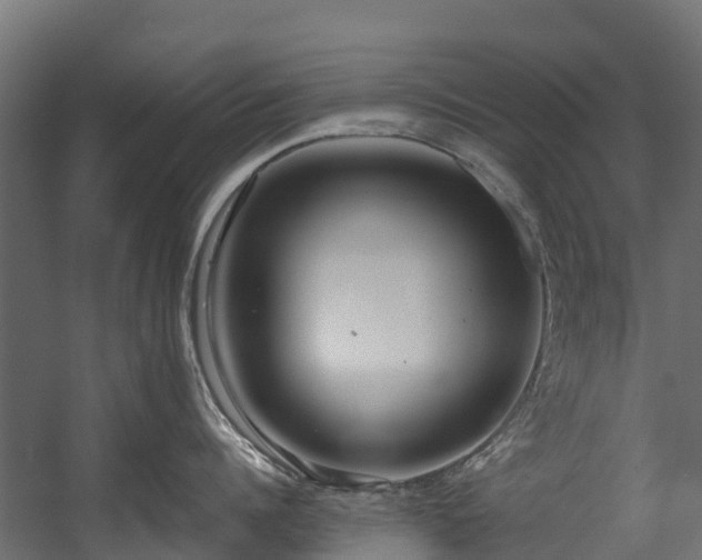 X0000058810960200510031343