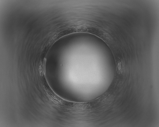 X0000058810963200510031342