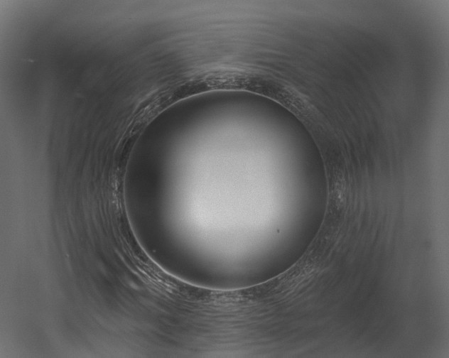 X0000058810964200510031342