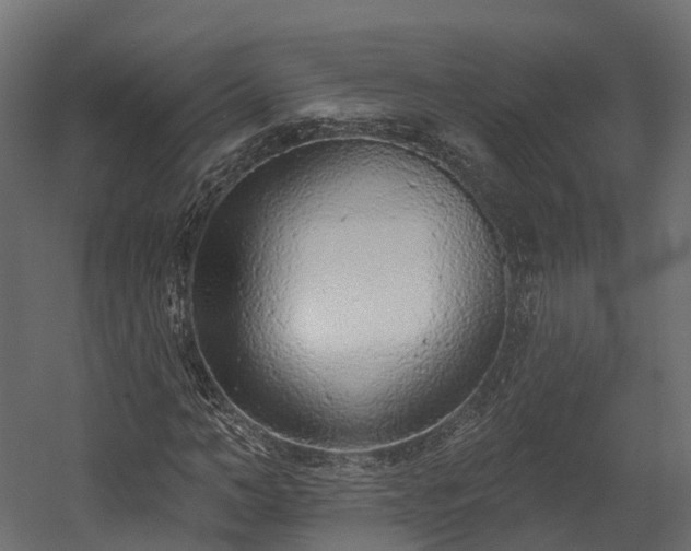 X0000058810966200510031342