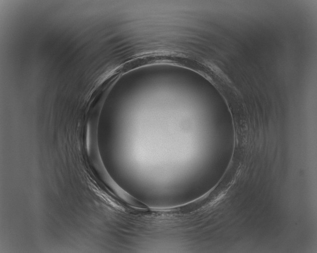 X0000058810969200510031342