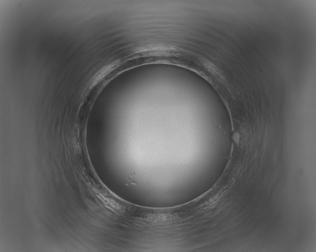 X0000058810970200510031342