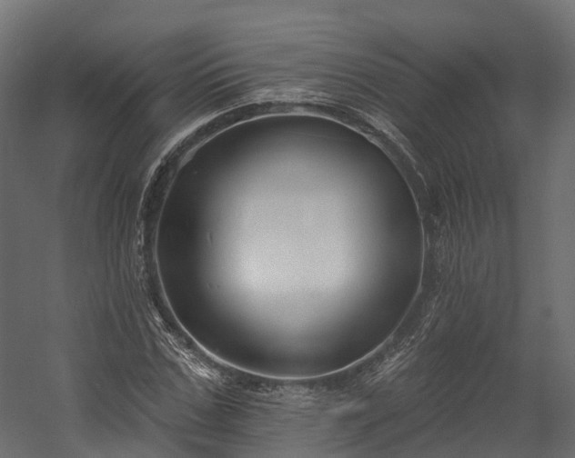 X0000058810971200510031342