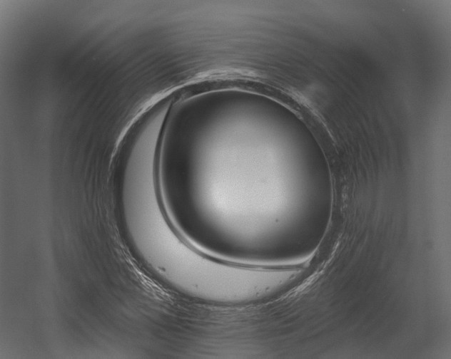 X0000058810973200510031342