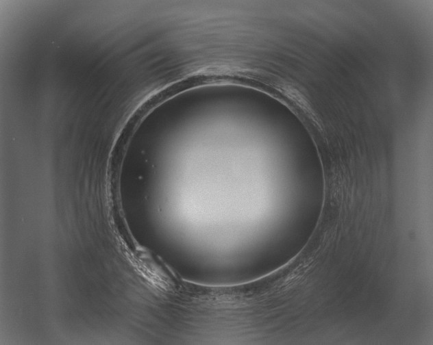 X0000058810976200510031342