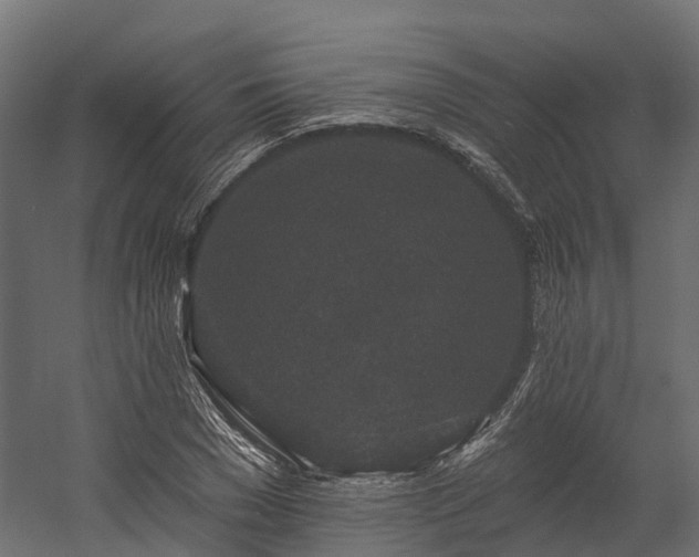 X0000058810977200510031342