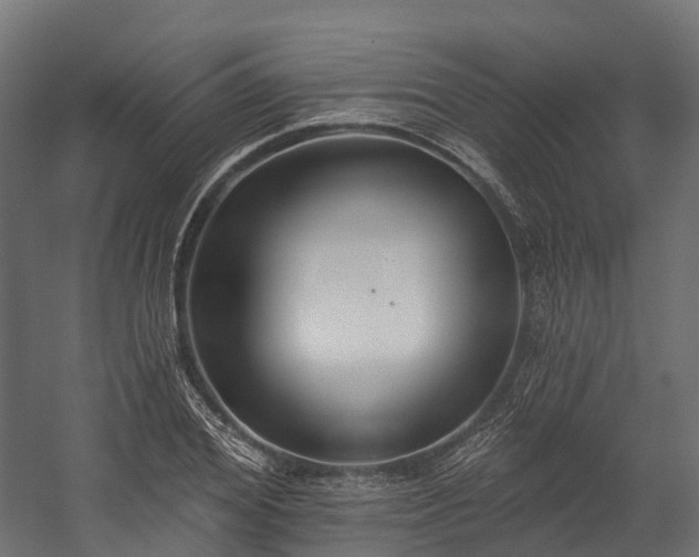 X0000058810980200510031342