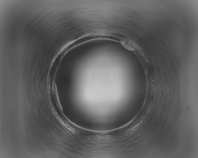 X0000058810981200510031342