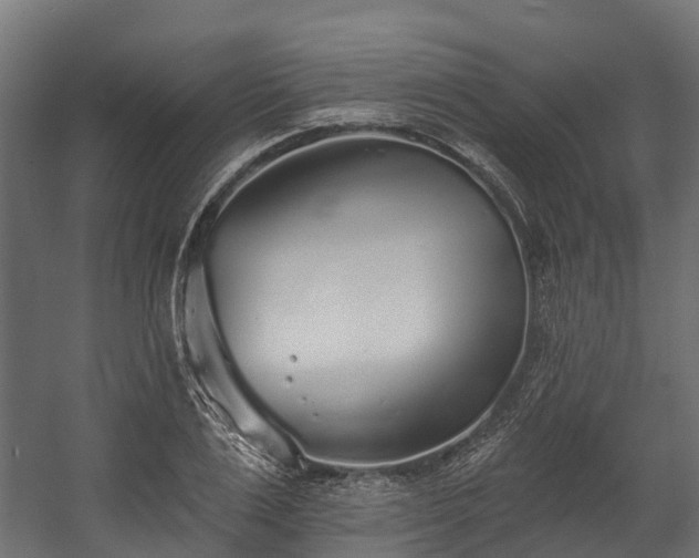 X0000058810983200510031342