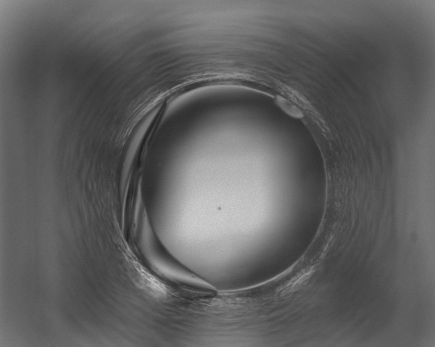 X0000058810985200510031342