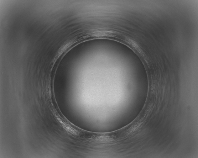 X0000058810986200510031342