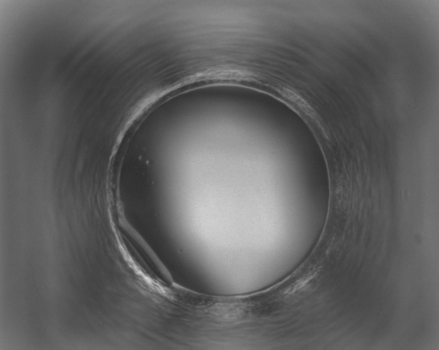 X0000058810989200510031342