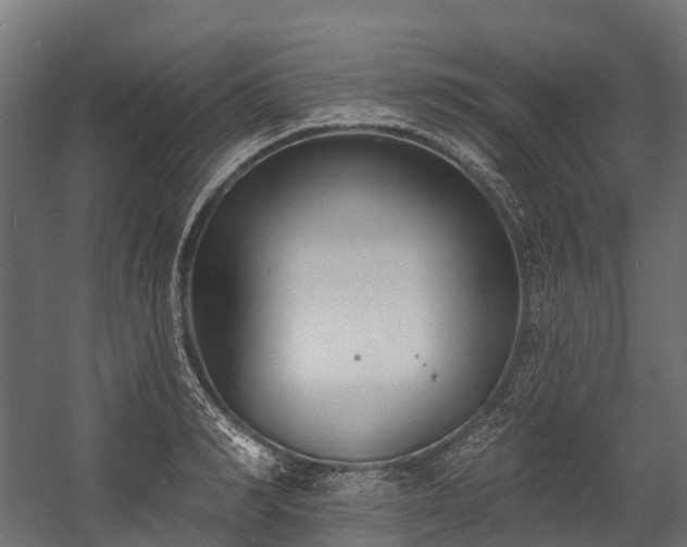 X0000058810990200510031342