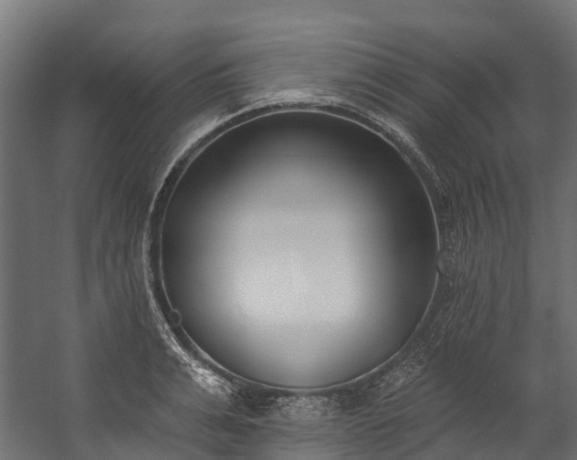 X0000058810991200510031342