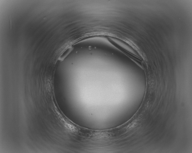 X0000058810993200510031342