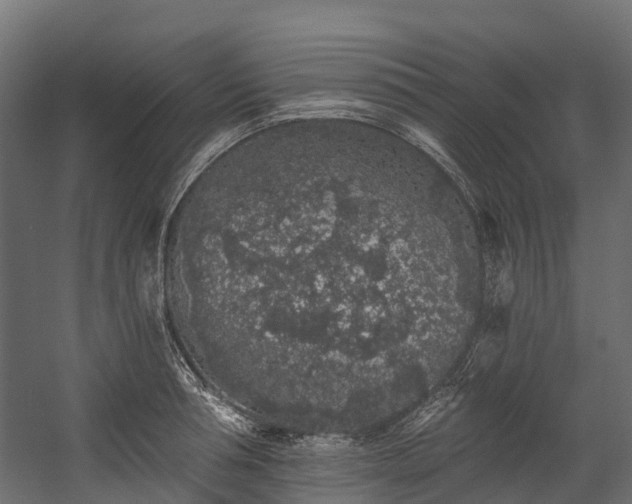 X0000058810994200510031342