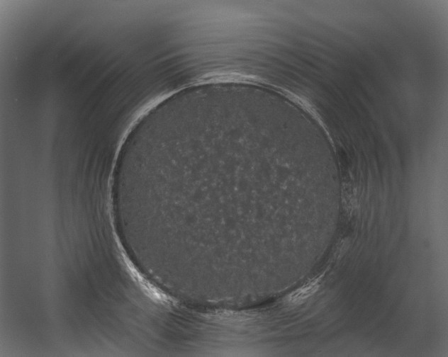 X0000058810995200510031342