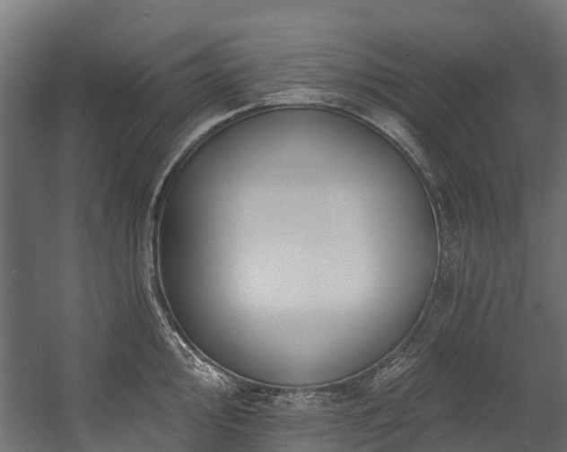 X0000058811000200510031342