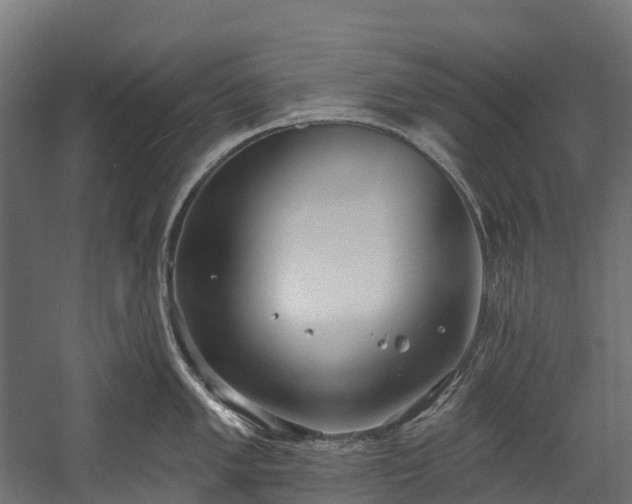 X0000058811005200510031342