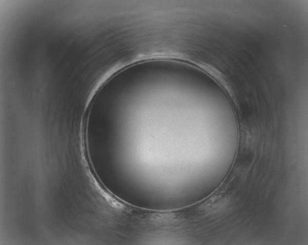 X0000058811006200510031342