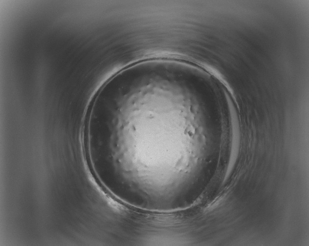 X0000058811007200510031342