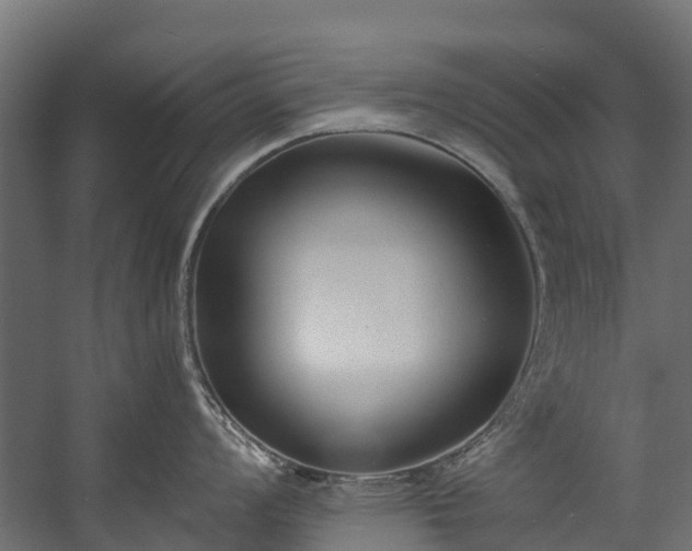 X0000058811008200510031342