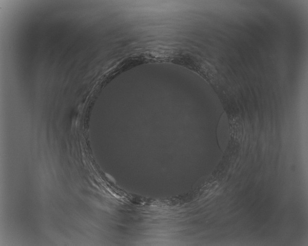 X0000058811009200510031341