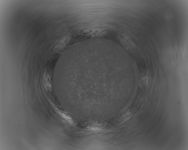 X0000058811010200510031341