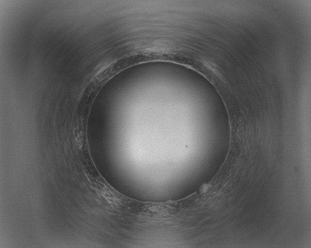 X0000058811015200510031341