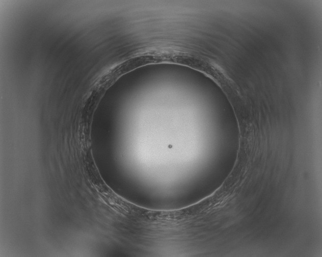 X0000058811016200510031341