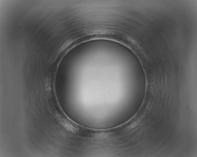 X0000058811017200510031341