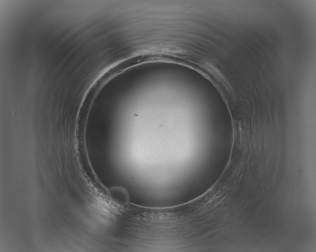 X0000058811020200510031341