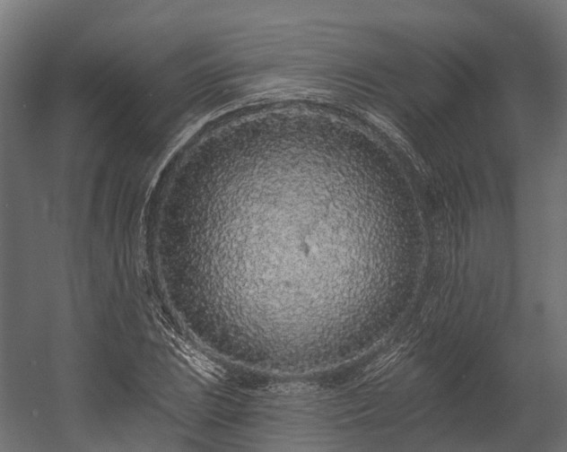 X0000058811023200510031341