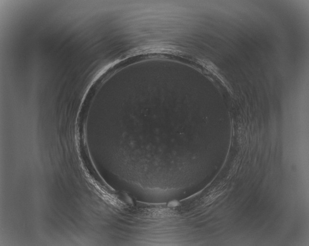 X0000058811024200510031341